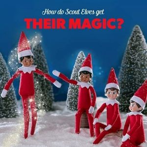 🎸●Elf on the Shelf (dark boy)